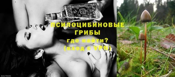 стаф Балахна